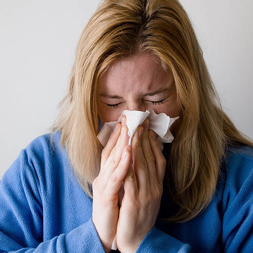 Vue interieure de la Pharmacie des Arcanes
